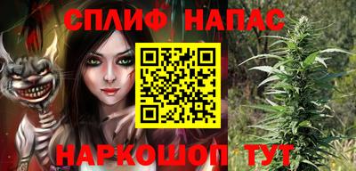 каннабис Новозыбков