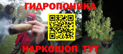 каннабис Новозыбков