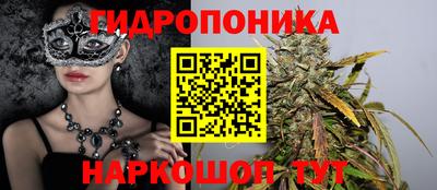 каннабис Новозыбков